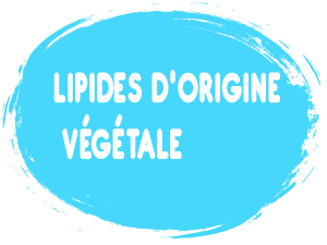 LIPIDES-DORIGINE-VÉGÉTALE